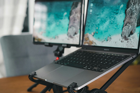Remote Work Flexibility